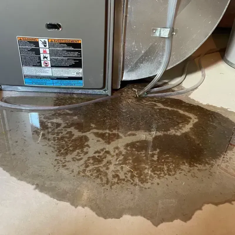 Appliance Leak Cleanup in Cortland, IL